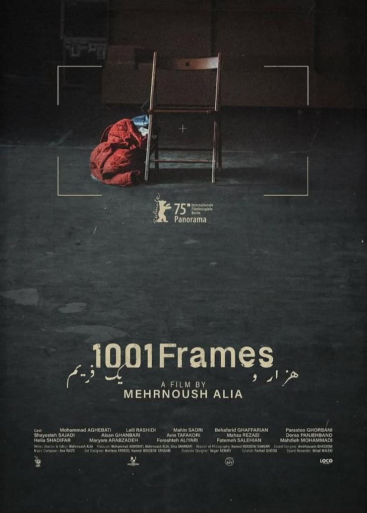 1001 Frames